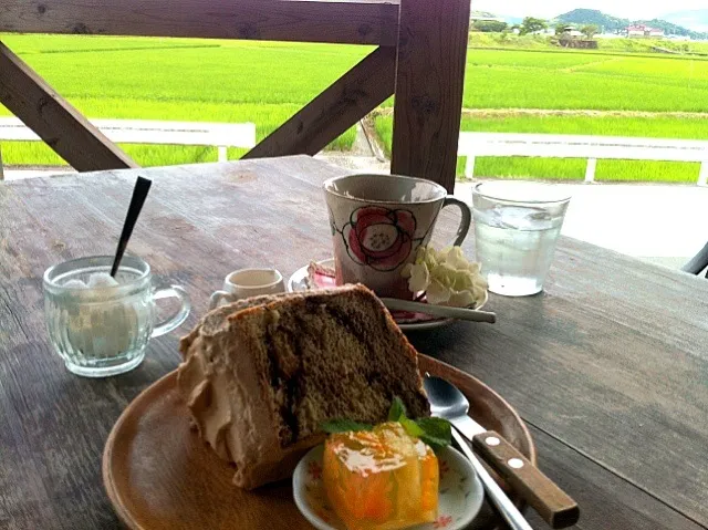 田園の中で、ケーキタイム(｡-∀-｡)至福～|てつこさん