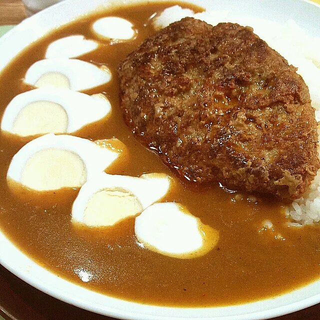 煮込みハンバーグカレー|Galldinさん