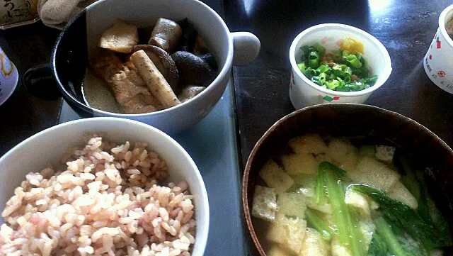 筑前煮|まぐろさん