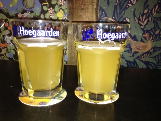 hoegaarden beer|haamerさん