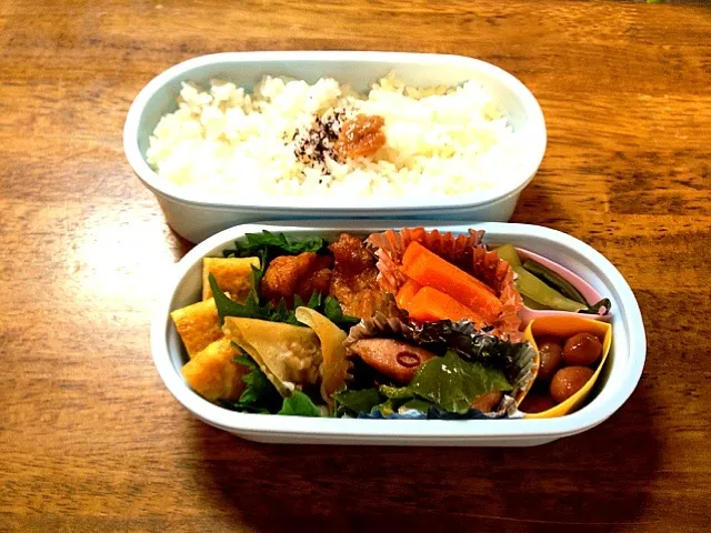 Snapdishの料理写真:6月15日のお弁当|びーぴーえすさん