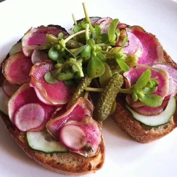 radish. cucumber. cornichon. sprouts.|scott winegardさん