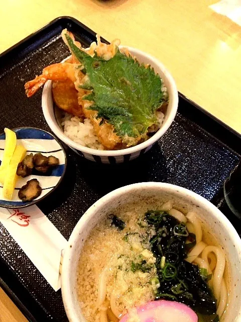 うどん、天丼|はるかさん