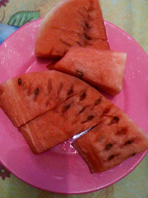 eating watermelon...|MARIAさん