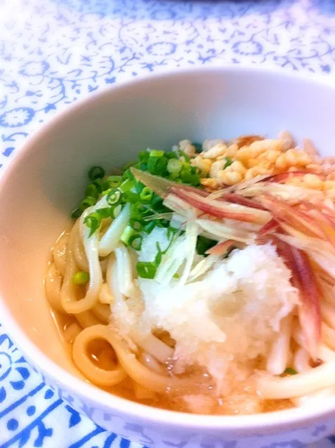 Snapdishの料理写真:あったかいかけうどん|🌀さん