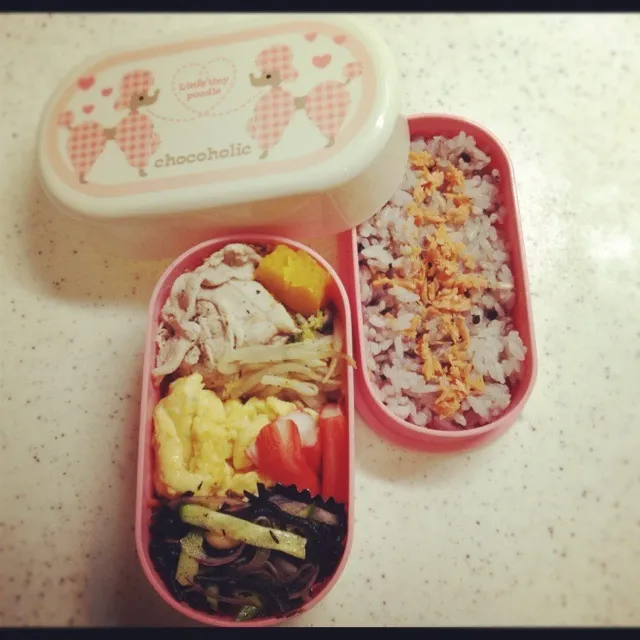 Snapdishの料理写真:毎日お弁当♡|ひなさん