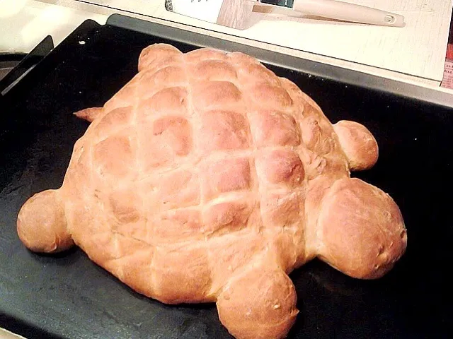 Snapdishの料理写真:pan con forma de tortuga? y quien se lo come?|HallyS2さん