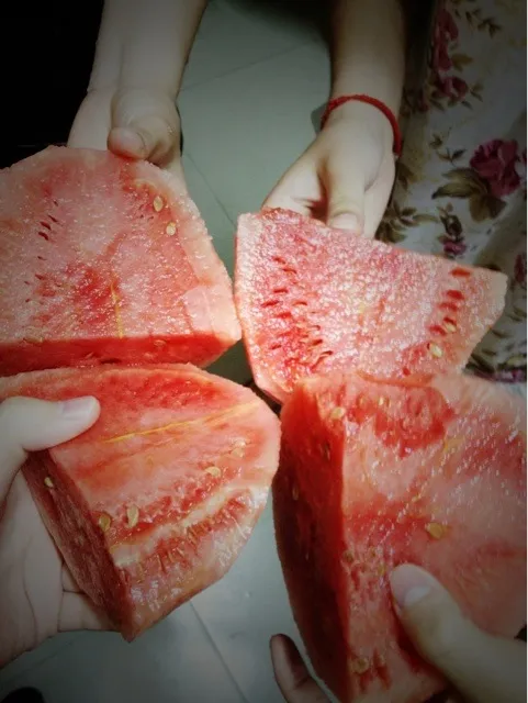 西瓜🍉|姬小柳さん