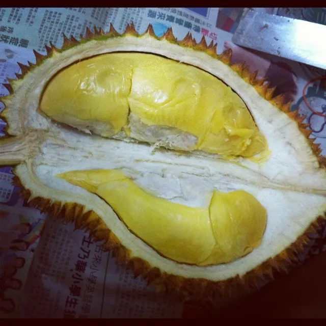 kings of fruit ( Durian ) giant size|laumeikuanさん