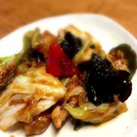 Snapdishの料理写真:お肉と野菜の味噌炒め|きまたまきさん