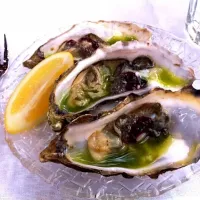 Oysters|Amandaさん