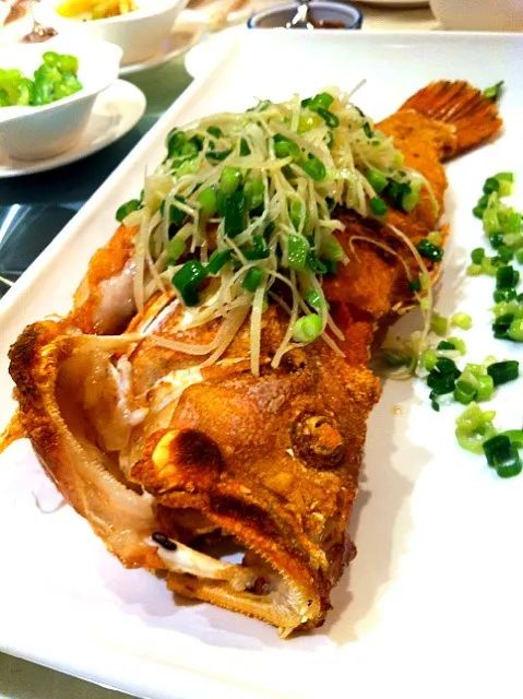 deep fried red grouper|willzさん