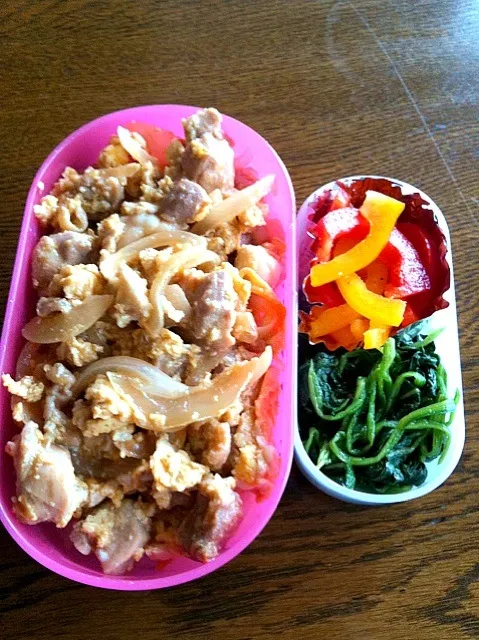 今日の娘弁当|のんさん