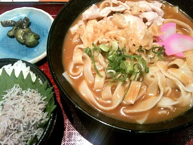 Snapdishの料理写真:冷やしカレーきしめんとシラス丼|miyoさん