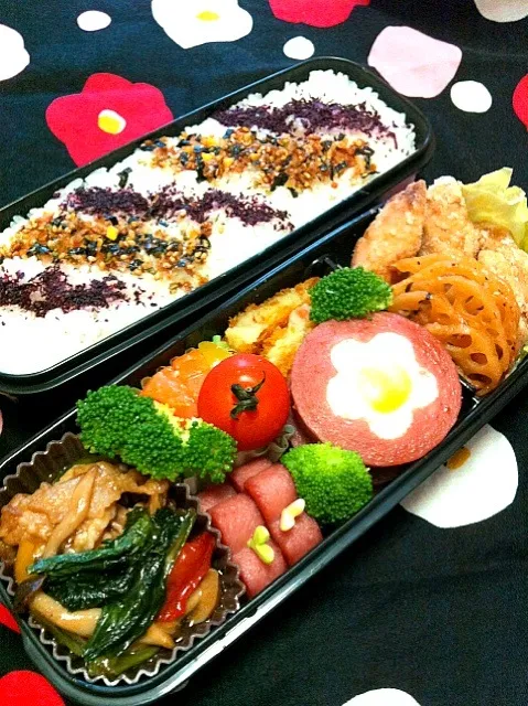 今日の息子のお弁当2012/06/21|ミホさん