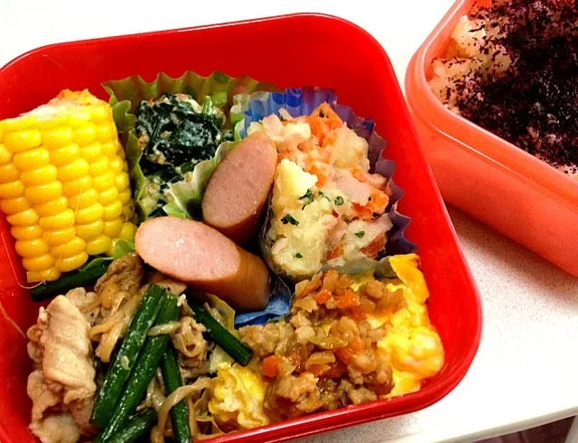 Snapdishの料理写真:お弁当(^O^)肉味噌のオムレツ、ポテトサラダ、にんにくの芽とエノキ炒め、ほうれん草の白和え|nisaduさん