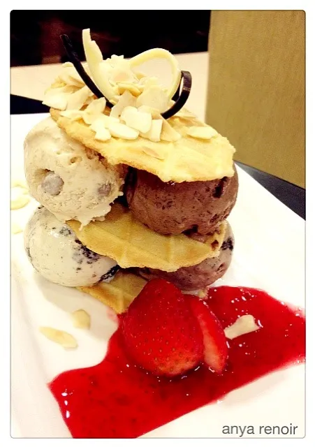 Waffle Biscuit Ice Cream Sandwich|Anya Renoirさん