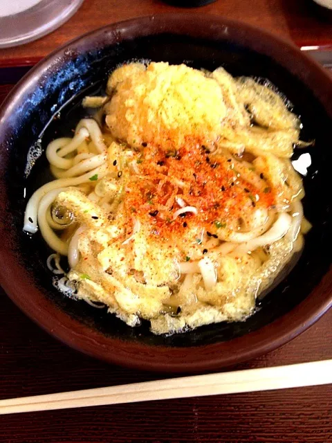 Snapdishの料理写真:きざみうどん、卵天|トリさん