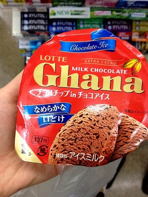 Ghana チョコチップinチョコアイス|りすなさん