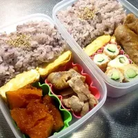 パパ弁当|えりぃぃぃぃぃおさん