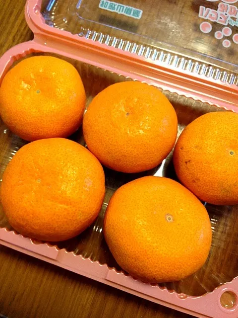 そして、ハウスみかん🍊|かまさん