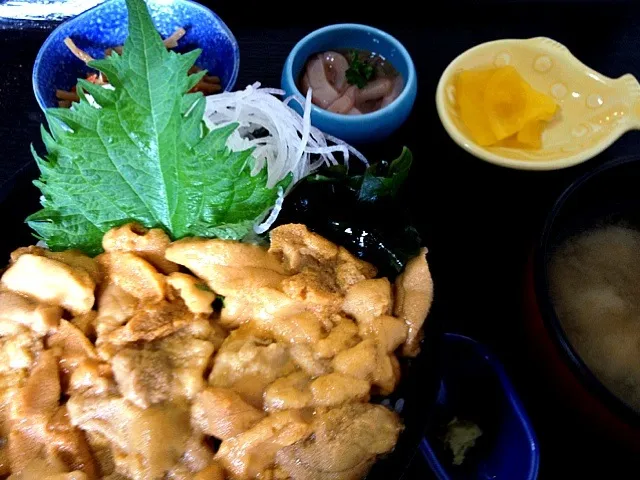 Snapdishの料理写真:積丹半島 中村屋の生うに丼|ngmさん