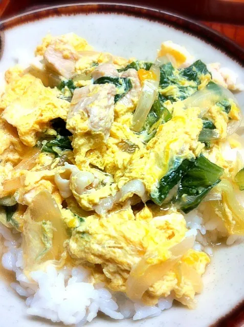 青梗菜入り親子丼|reiさん