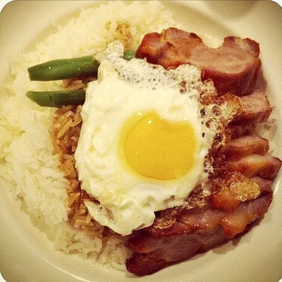 Stew pork with rice & fried egg 🍳|YNGさん