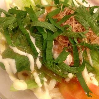 ガスト サラダうどんのレシピと料理アイディア19件 Snapdish スナップディッシュ