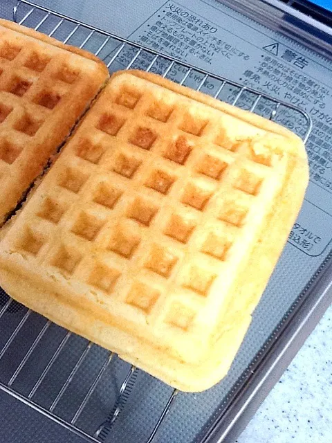 Snapdishの料理写真:cornmeal waffles|Kirsten Adachiさん