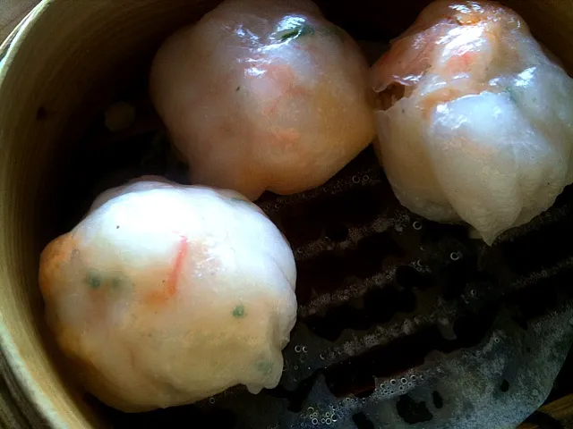 Snapdishの料理写真:Prawn Dumplings Dim Sum|Shiroi Yukiさん