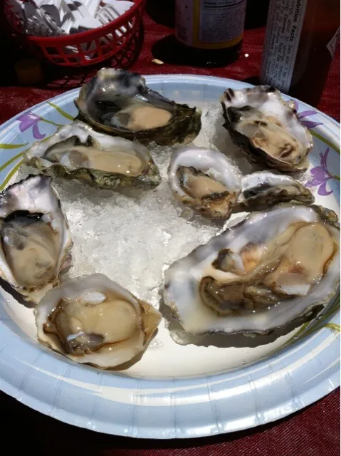 oysters|helsieさん