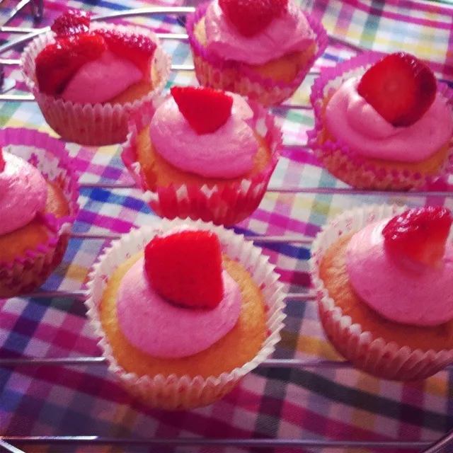 strawberry cupcakes|freyaさん