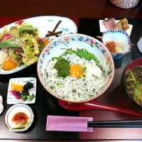 釜揚げしらす丼|ちびチップさん