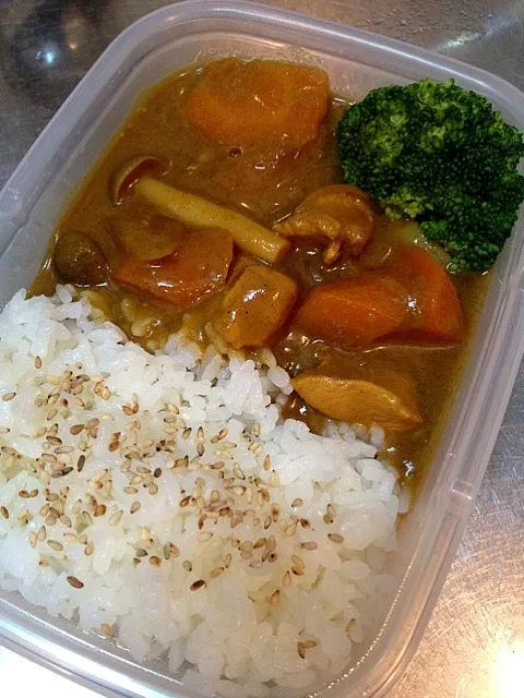 お弁当  カレー初日！|maechikaさん