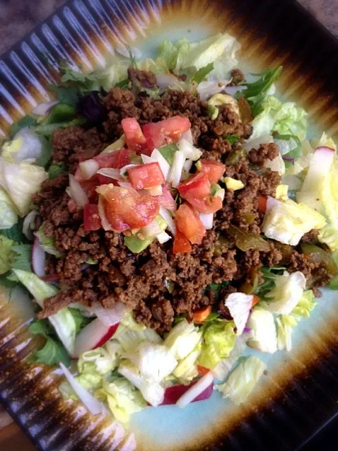 Taco Salad with Pico de Gallo and Mixed Herb Salad|Jules Vloskyさん