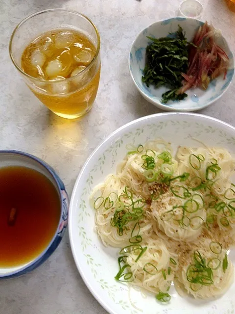 今日はサラッとお素麺|かまさん