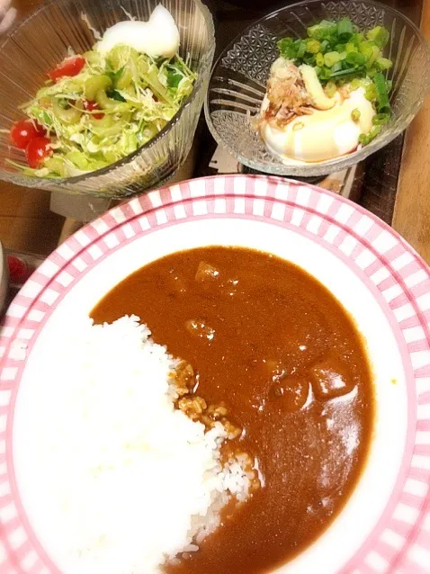 #夕飯 ミツバセロリキャベツトマトサラダ、冷奴、カレーライス。|ms903さん