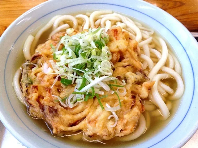 野菜天うどん|TanTanさん