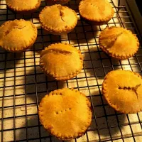 Grain Free Failsafe Meat Pies|Grain Free Livingさん