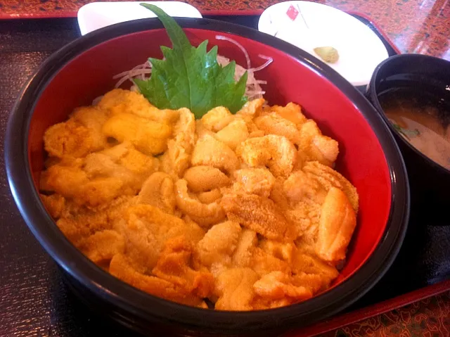 Snapdishの料理写真:積丹のウニ丼|Yumiさん