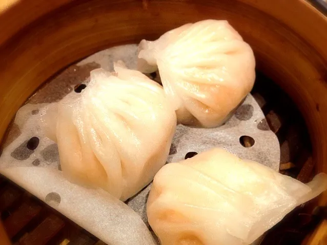 Prawn Dumpling 虾饺|prissyさん