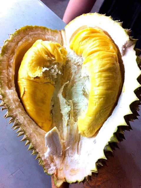 Heart Shaped Durian|Adalia Limさん