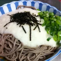 Snapdishの料理写真:冷やしとろろ蕎麦|ゆかさん