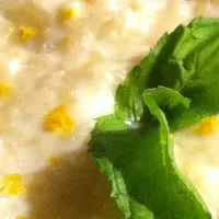 lemon infused rice pudding|alaa el ashkarさん