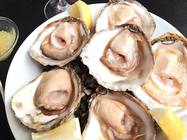 oysters from Linfjord|linda rafossさん