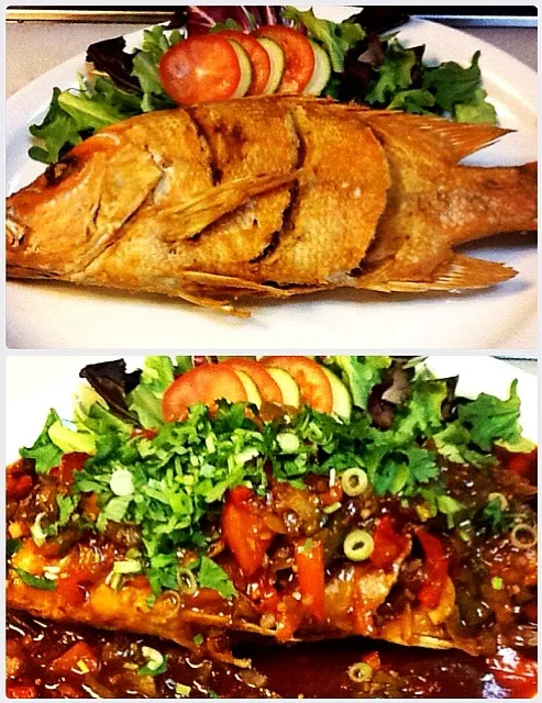 Snapdishの料理写真:🐟🌹Pla Sam Rod:Whole fried snapper with 3 flavour sauce, spicy, sour and sweet🌹🐟|🙏😄さん