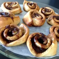 Cinnamon snails|Nadia Ibsenさん