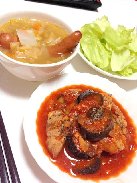 鶏のトマト煮、野菜スープ|にんこさん