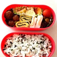 手抜き弁当|ありささん